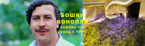 ГАЛЛЮЦИНОГЕННЫЕ ГРИБЫ Белоозёрский