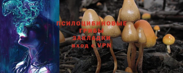молекула духа Баксан